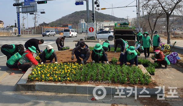 대곶면 새마을부녀회 회원들이 꽃을 식재하고 있다. / 포커스 김포