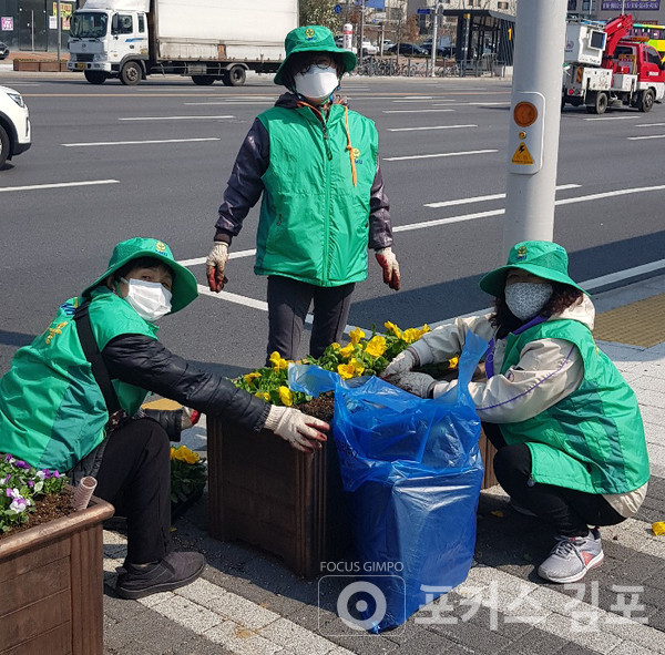 마산동 새마을부녀회 회원들이 꽃을 식재하고 있다. / 포커스 김포